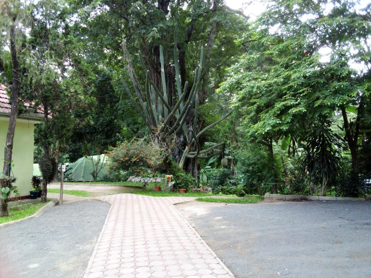 Themi Valley Eco And Cultural Tourism Homestay Arusha Exterior photo