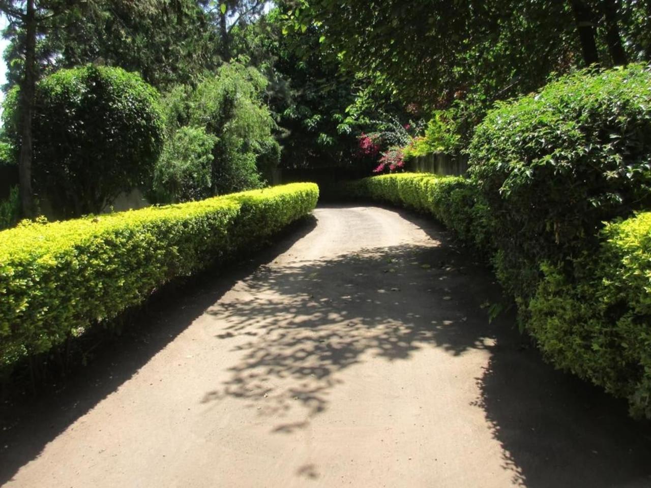 Themi Valley Eco And Cultural Tourism Homestay Arusha Exterior photo